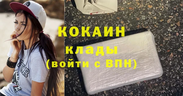 тгк Алзамай