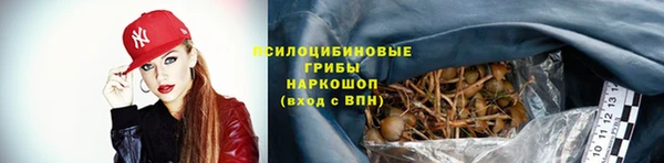 кокаин колумбия Алексин