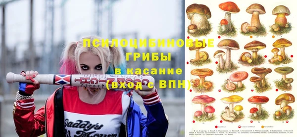 тгк Алзамай