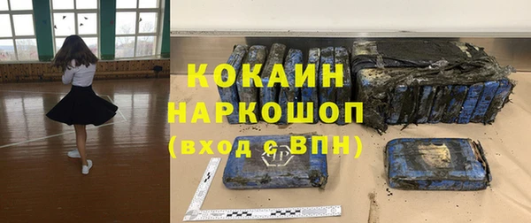 PSILOCYBIN Пересвет