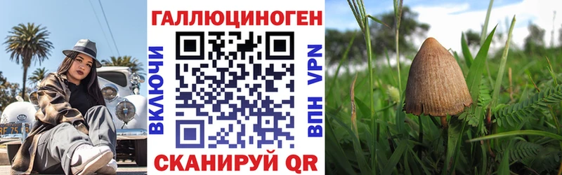 Псилоцибиновые грибы MAGIC MUSHROOMS  Купить  Буйнакск 