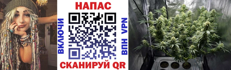 Купить закладки  Буйнакск  Шишки марихуана семена 